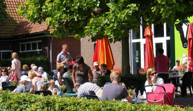 onder de platanen onder de platanen